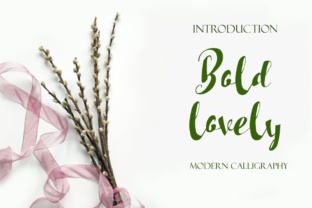 Bold Lovely: A Romantic Script Font