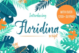 Floridina: A Fresh Script Font for Web Design
