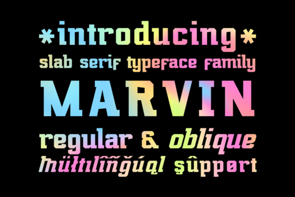 Marvin Regular: A Font for Business Clarity