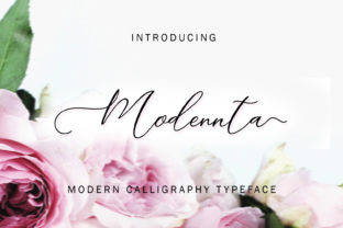 Modennta Script: A Stylish Font for Campaigns