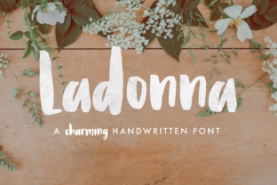 Upgrade Your Brand with Ladonna
