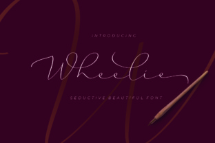 Wheelie Font Review