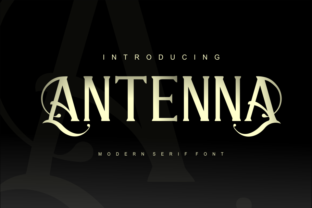 Why Antenna Is the Serif Font Your Branding Project Needs