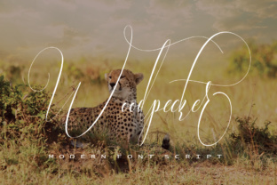 Woodpecker: A Elegant Handwritten Font